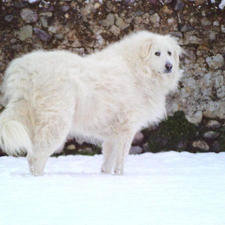 Chateau De Heaas Feas Luaran gambar